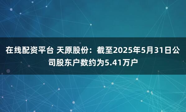 在线配资平台 天原股份：截至2025年5月31日公司股东户数约为5.41万户